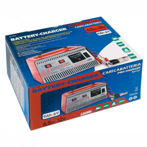Chargeur de batterie Pro 6/12V